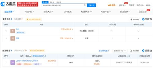 技术咨询 问题解决与效率提升的关键
